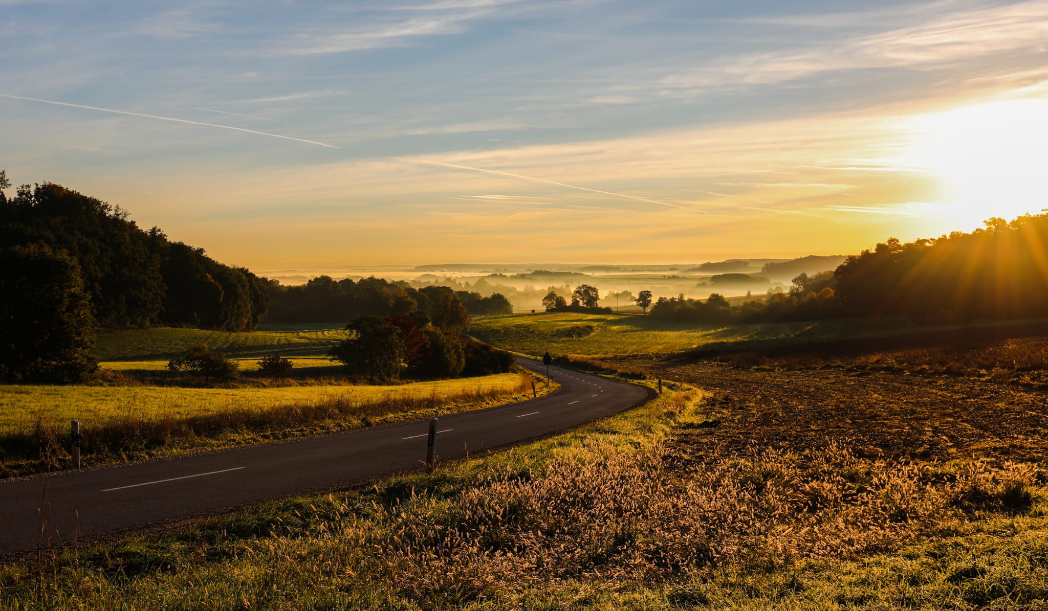 Morgennebel